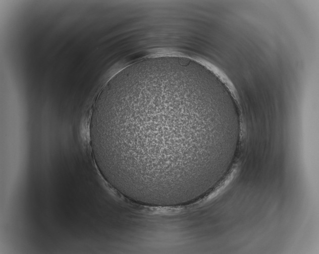 X0000102400905200808081302