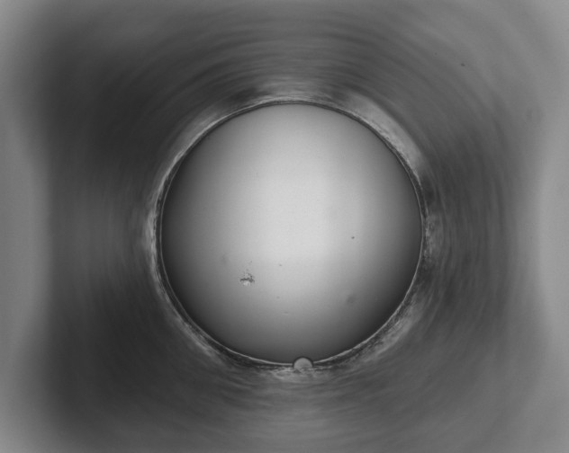 X0000102400906200808081302