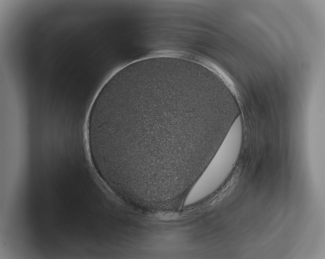 X0000102400907200808081302