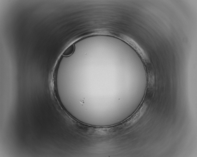 X0000102400908200808081302