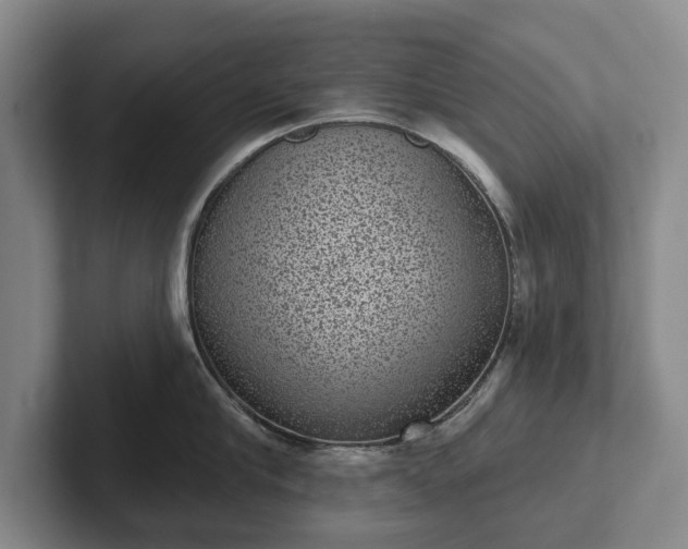 X0000102400910200808081302