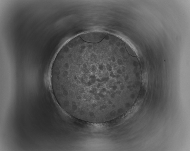 X0000102400911200808081302