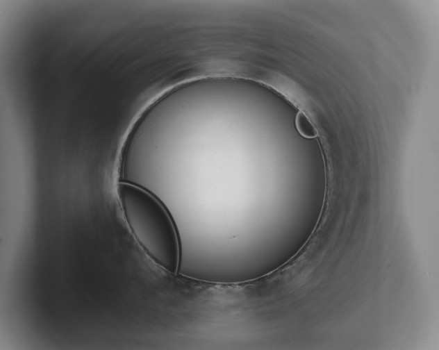 X0000102400912200808081302