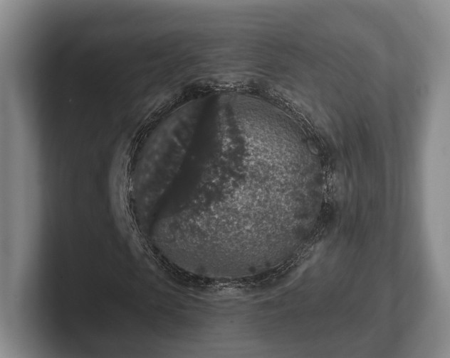 X0000102400913200808081301