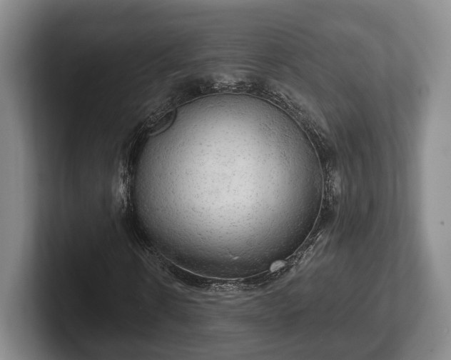 X0000102400914200808081301