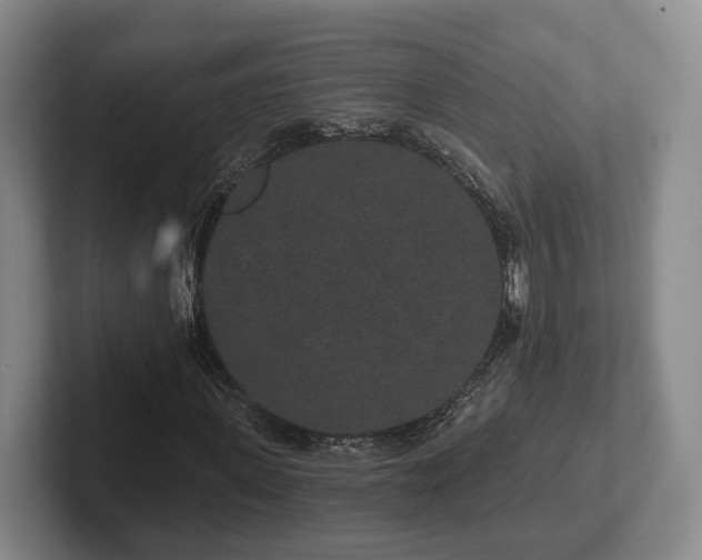 X0000102400915200808081301