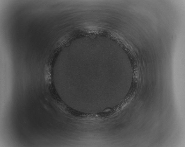 X0000102400916200808081301