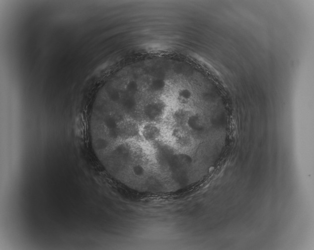 X0000102400917200808081301