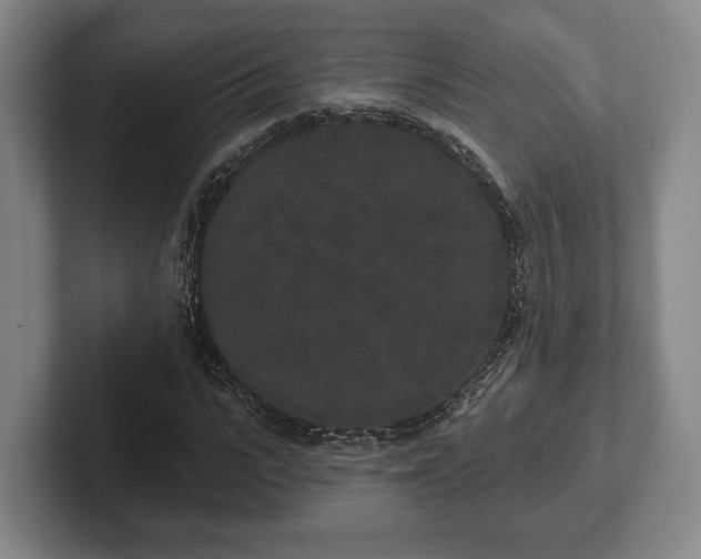 X0000102400919200808081301