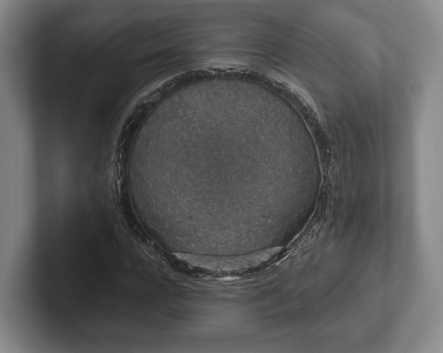 X0000102400920200808081301