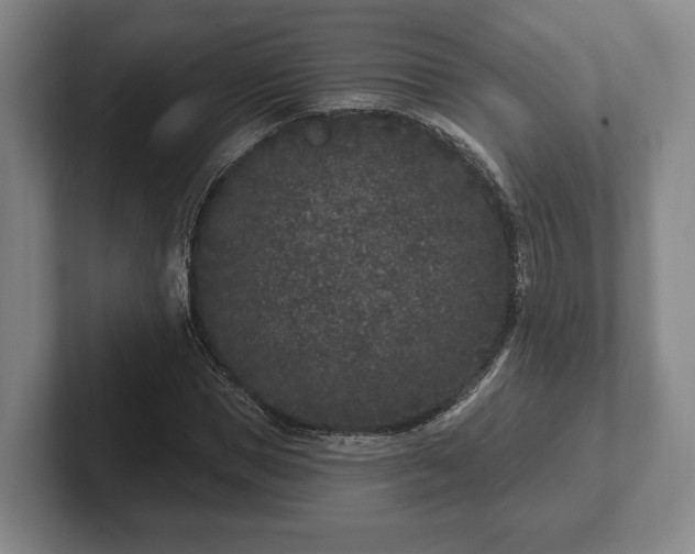 X0000102400921200808081301