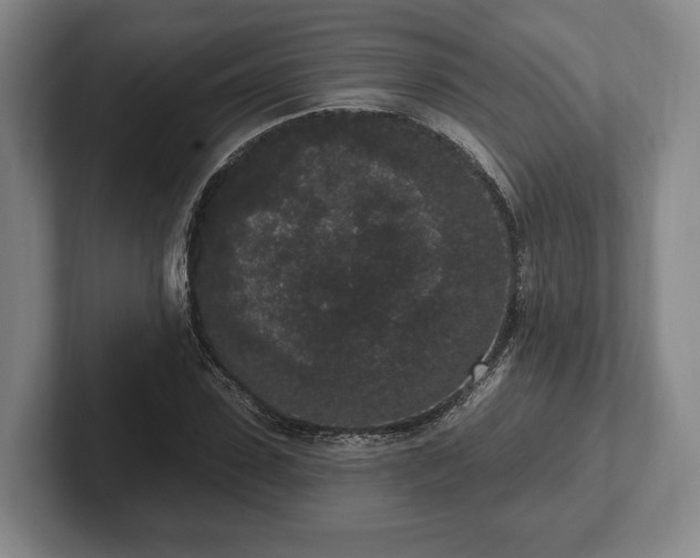 X0000102400923200808081301