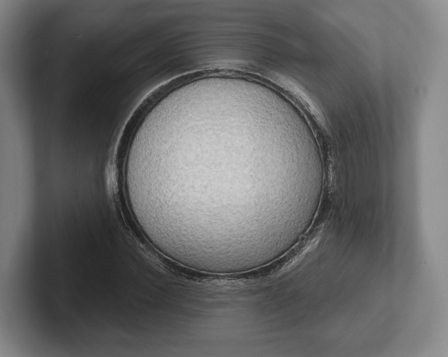 X0000102400924200808081301