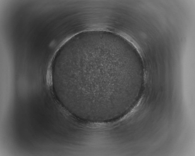 X0000102400925200808081301