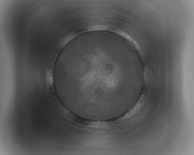 X0000102400929200808081301