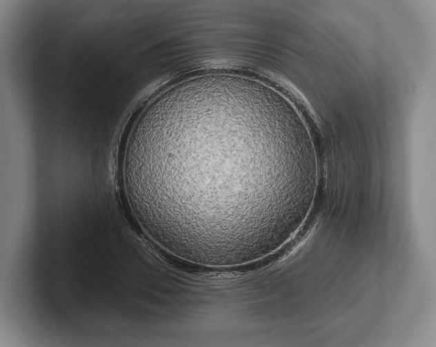 X0000102400930200808081301