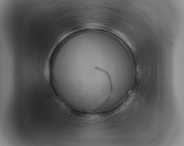 X0000102400931200808081301