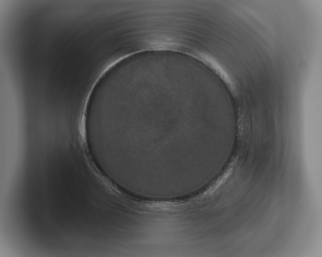 X0000102400932200808081301