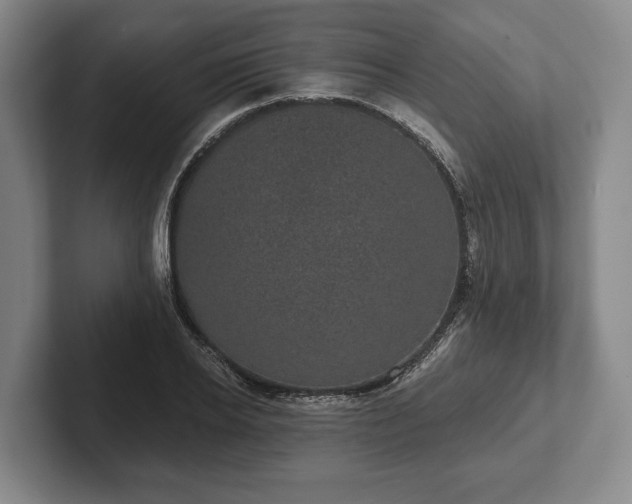 X0000102400934200808081301