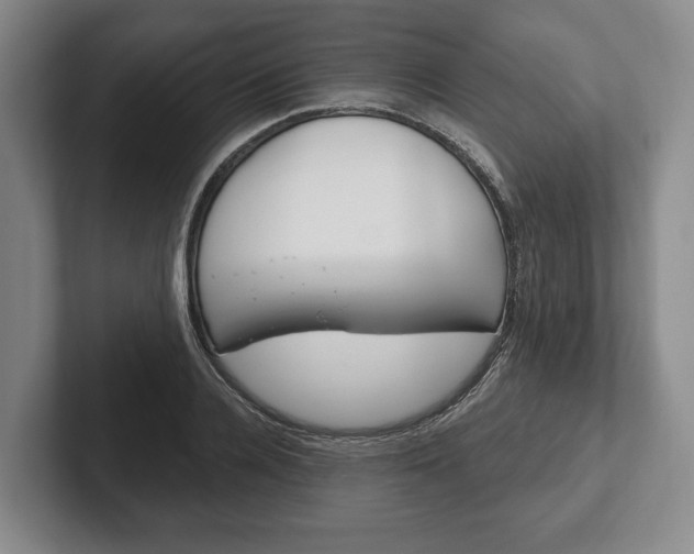 X0000102400936200808081301