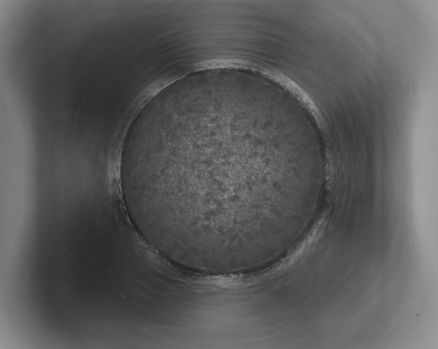 X0000102400937200808081301