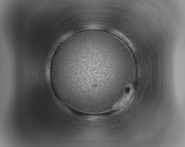 X0000102400938200808081302