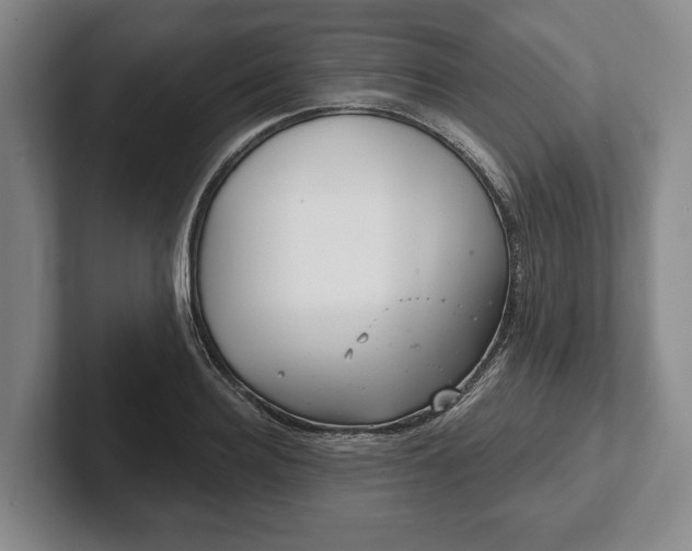 X0000102400940200808081302