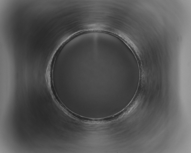 X0000102400941200808081302