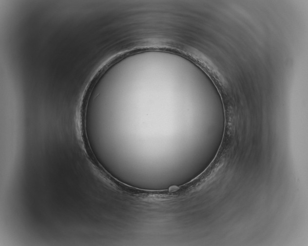 X0000102400942200808081302