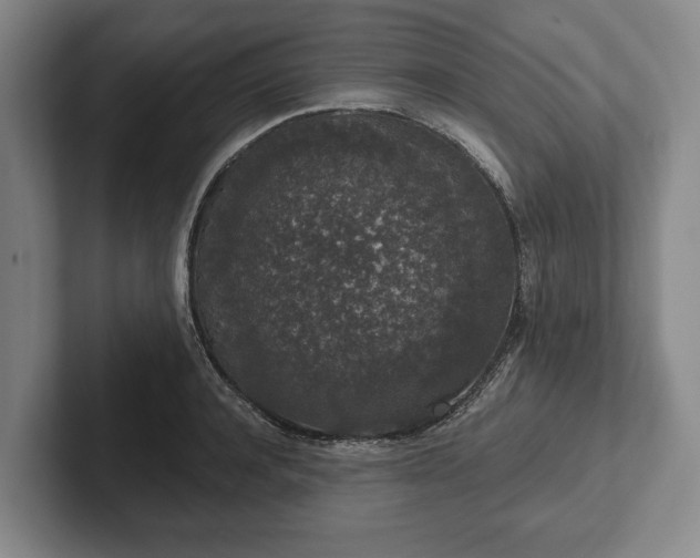 X0000102400944200808081302