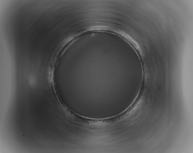 X0000102400945200808081302