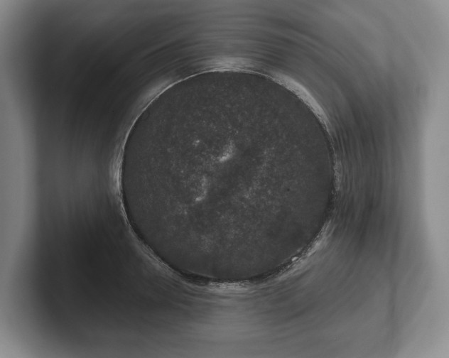 X0000102400946200808081302