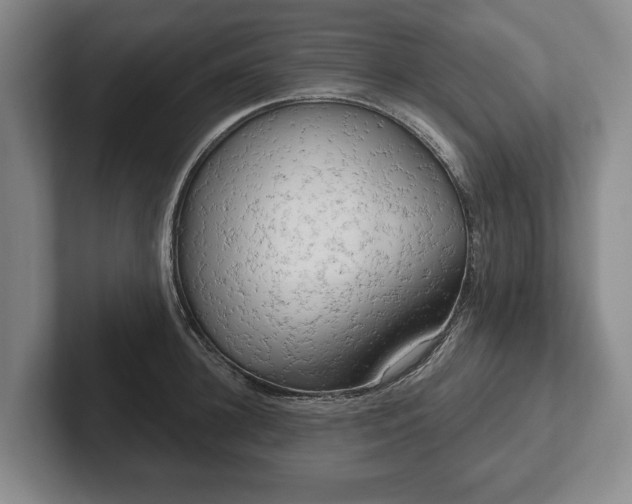 X0000102400948200808081302