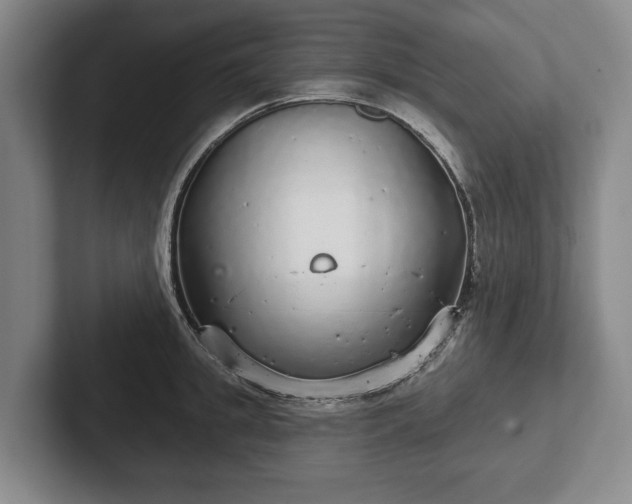 X0000102400949200808081302