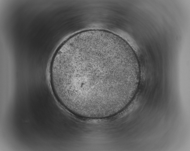 X0000102400950200808081302