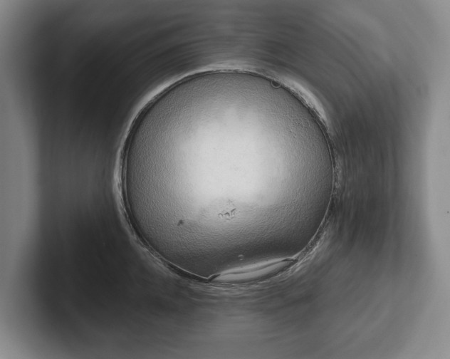 X0000102400952200808081302