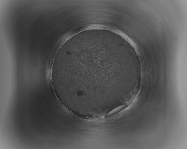 X0000102400953200808081302