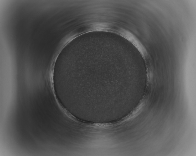 X0000102400954200808081302