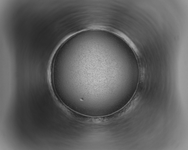 X0000102400955200808081302