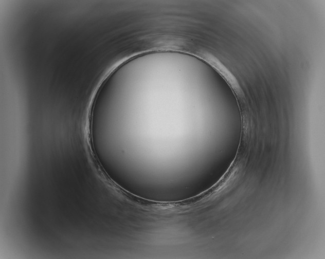 X0000102400956200808081302