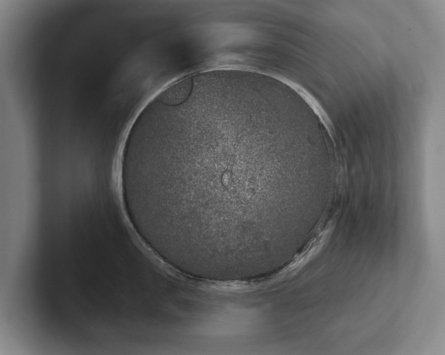 X0000102400957200808081302