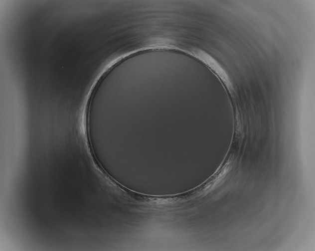 X0000102400958200808081302