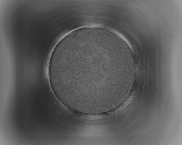 X0000102400959200808081302