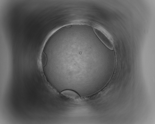 X0000102400960200808081302