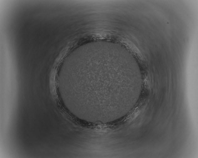 X0000102400961200808081301