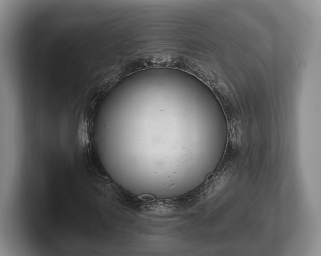 X0000102400962200808081301