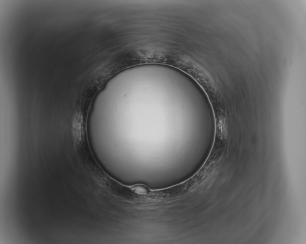 X0000102400963200808081301