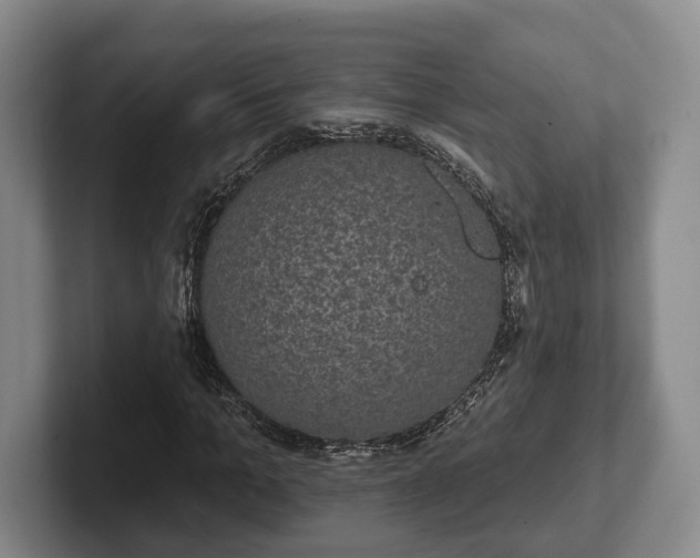 X0000102400965200808081301