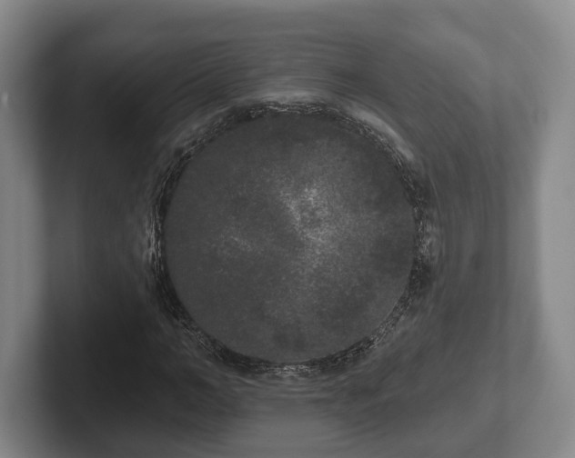 X0000102400966200808081301