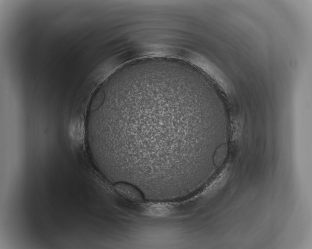 X0000102400969200808081301